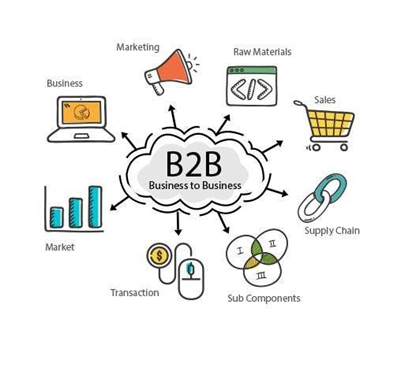 B2B Website